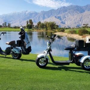 2021 FAT TIRE SCOOTER REBEL TRIKE XR