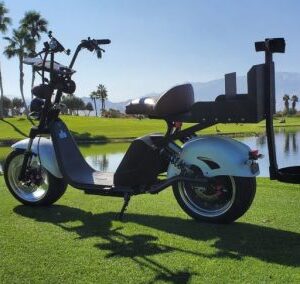 2021 FAT TIRE SCOOTER THE CRUISER