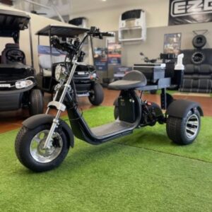 2021 FAT TIRE XR TRIKE