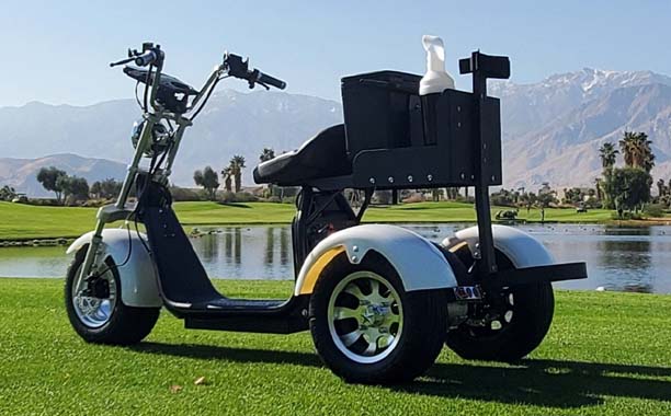 Golf Cart 5